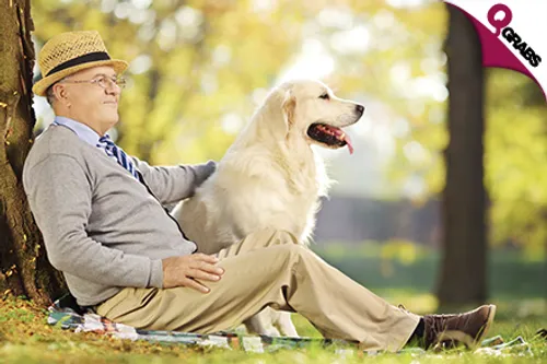 For QR69 Give them More Love in their Old Age with a Care of Senior Pet Online Course! (QR762 Value)